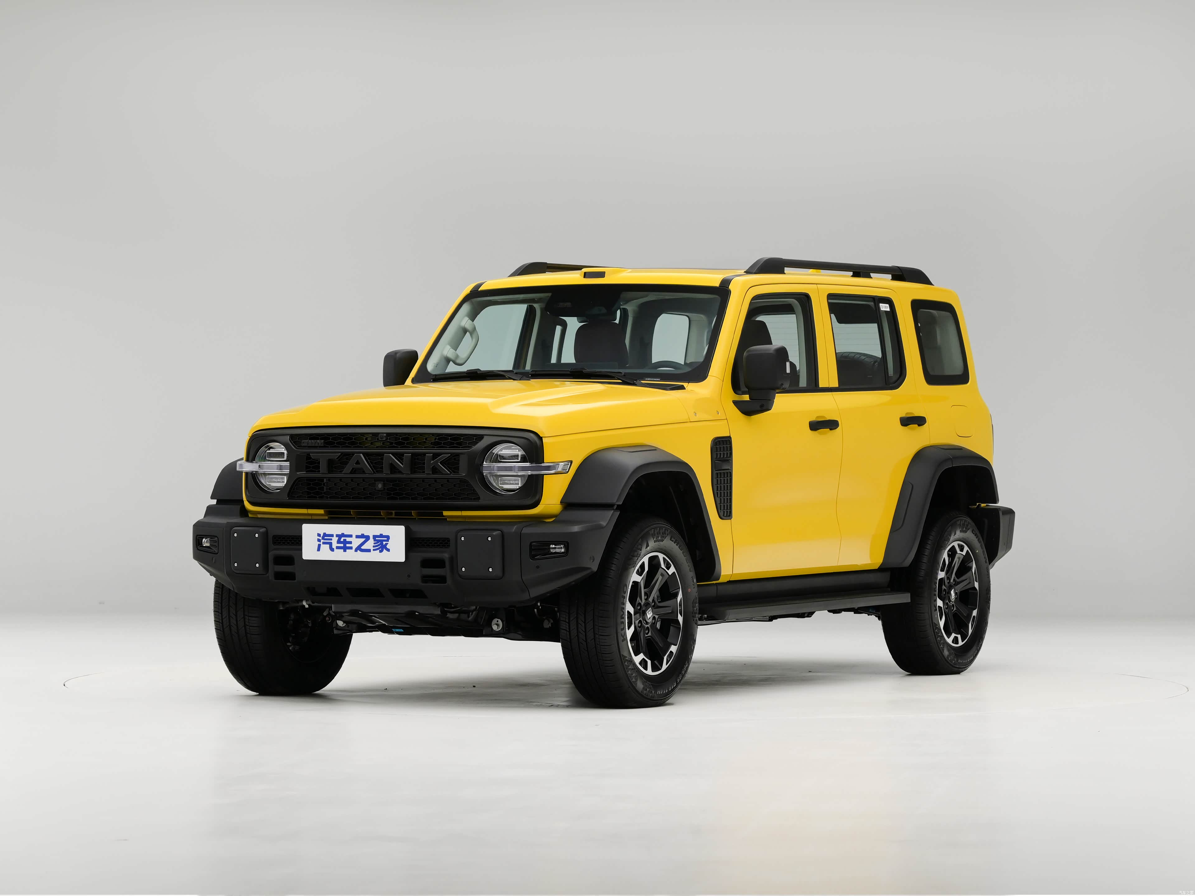 坦克 坦克300L新能源
